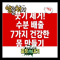 몸속 수분 배출! 체내 수분 배출 방법 7가지