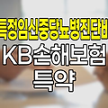 KB손해보험 특정임신중당뇨병진단비 특약 심층 분석