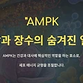 AMPK로 대사증후군. 노화까지 잡는 효소와 생활습관 꿀팁 정리
