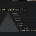 옥 의미와 효능 및 옥 목걸이 특징 및 관리법