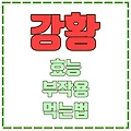 강황의 효능 먹는방법 -커큐민과 피페린의 황금 조합