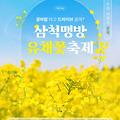 "삼척맹방유채꽃축제 2025｜노란 바다에 빠지다! 인생샷 맛집 총정리🌼📸"