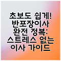 초보도 쉽게! 반포장이사 완전 정복: 스트레스 없는 이사 가이드