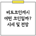 비트코인캐시 전망과 시세 변동성 분석까지 (비트코인 투자법)