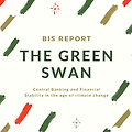 [BIS Report] The Green Swan (20.1월)