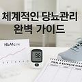 체계적인 당뇨관리 완벽 가이드