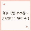 금값 연말 3300달러 골드만삭스 전망 분석
