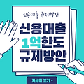 신용대출 1억 한도 규제 방안 - 부동산자금 활용금지🏡