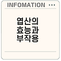 엽산의 모든 것 효능과 주의사항은?