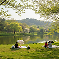 🧺 서울 근교 나들이 BEST 7 – 가족, 연인, 친구와 함께 떠나는 봄소풍 🌿