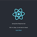 [Spring Boot + React] proxy 설정 이슈