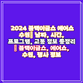 2024 블랙이글스 에어쇼 수원| 날짜, 시간, 프로그램, 교통 정보 총정리 | 블랙이글스, 에어쇼, 수원, 행사 정보