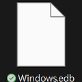 [DH][워게임] Windows Search - WinSearchDBAnalyzer.exe