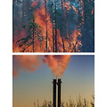 [Greenpeace] We can only change 2030 if we all demand a change in 2020