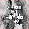 셔츠 주름 빨래 없애기? 놀라운 세탁 노하우