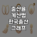 출산율 계산법(한국 출산 그래프)
