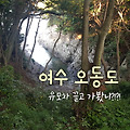 여수 가볼만 한 곳, 봄이 아니어도 좋은 산책로 오동도 솔직후기 feat.유모차