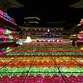 5월에 꼭 가봐야 할 국내 여행지 베스트 4 - 부산 연등축제부터 제주 벚꽃축제까지!