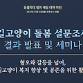 카라, '길고양이 돌봄형태 설문조사 결과' 발표 및 세미나 개최