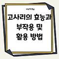 고사리의 효능과 부작용 및 활용 방법을 통한 건강 관리