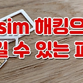 SKT가 유심 정보를 암호화하지 않아서 생길 수 있는 문제