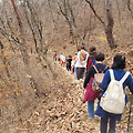 속리산 국가숲길