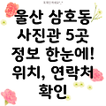 울산 남구 삼호동 사진관 5곳 운영시간, 주소, 위치, 전화번호 총정리