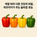 색 따라 다른 파프리카의 건강비밀 그 놀라운 효능