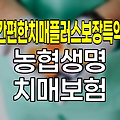 농협생명 간편한치매플러스보장특약, 치매보험의 새로운 기준