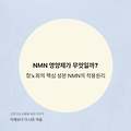 🧬 NMN 영양제란? 항노화의 핵심 성분, NAD+와 NMN의 작용 원리까지 정리!