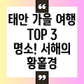 태안 가을 여행, 놓칠 수 없는 TOP 3 추천 명소! 황홀한 서해의 가을을 만나보세요