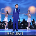 남일해 - 첫사랑 마도로스 가사, 듣기