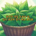 향긋한 깻잎 고르는 팁, 잎의 색상과 향기 체크 포인트