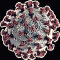 습도와 코로나 바이러스의 관계