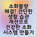 소화불량 해결! 간단한 생활 습관 개선으로 건강한 소화 시스템 만들기