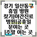 경기 일산동구 휴일 병원 찾기|야간진료 병원|공휴일 문여는 곳 |주말 여는 곳