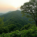 우면산 트레킹 🌿 서울 강남에서 즐기는 도심 속 힐링 산책