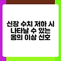신장 수치 저하 시 나타날 수 있는 몸의 이상 신호