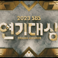 SBS 연기대상 : SBS에서 주최하는 드라마 부문 시상식
