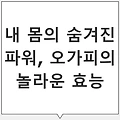 오가피의 효능 – 관절 건강과 피로 회복을 위한 약재: 놀라운 효과!
