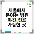 서울에서 문여는 병원 야간 진료 가능한 곳