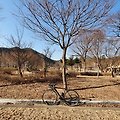 2021.1.5 말루길 - 종합운동장 - 격암남사고 유적지