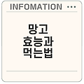망고의 효능과 부작용은 무엇일까
