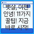 뱃살 빼는 방법 11가지: 이제 시작해보세요