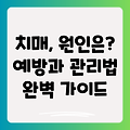 알코올성 치매: 증상, 원인, 예방 및 관리법 완벽 가이드