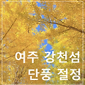 조용한 가을 단풍 명소 ‘여주 강천섬’