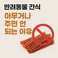 반려동물 간식, 아무거나 주면 안 되는 이유