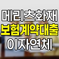 메리츠화재 보험계약대출 이자 연체 처리 방식