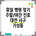 대전광역시 서구 기성동 휴일 병원 찾기|야간진료 병원|공휴일 문여는 곳 |주말 여는 곳