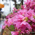 내일 전국 흐리고 비 소식, 기온은 11~17도 - 주말 날씨 정보